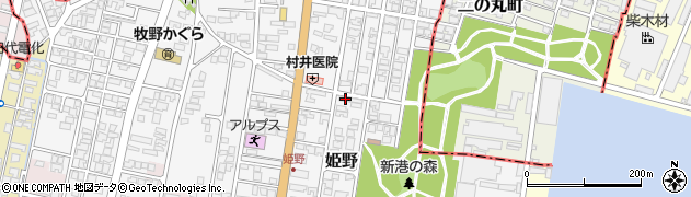 富山県高岡市姫野305周辺の地図