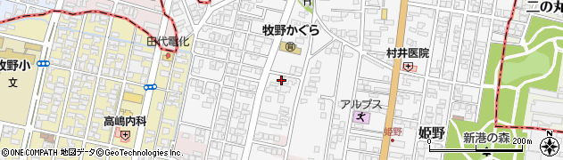 富山県高岡市姫野56周辺の地図