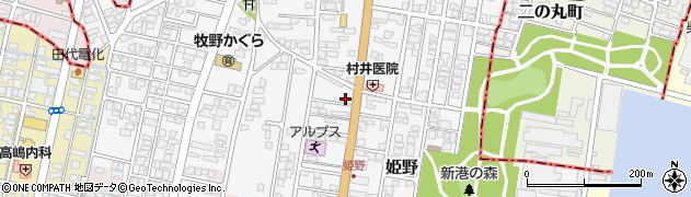 富山県高岡市姫野497周辺の地図