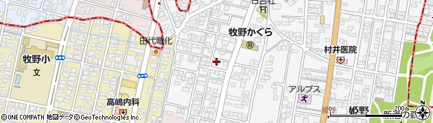 富山県高岡市姫野47周辺の地図