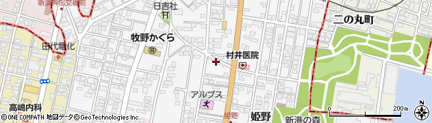 富山県高岡市姫野496周辺の地図