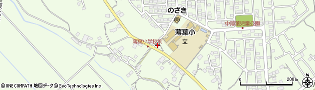 栃木県大田原市薄葉2018周辺の地図