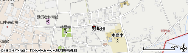 長野県飯山市野坂田685周辺の地図