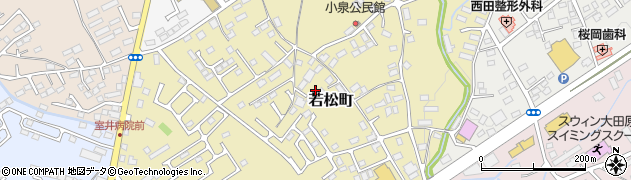 栃木県大田原市若松町484周辺の地図