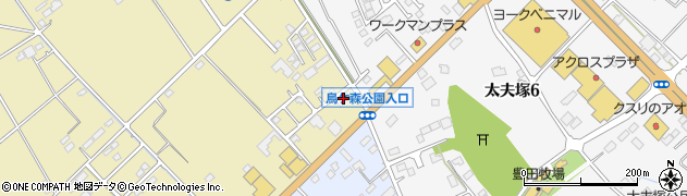 トヨタカローラ栃木株式会社　西那須野ＢＰセンター周辺の地図