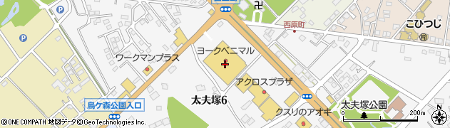 ヨークベニマル西那須野店周辺の地図