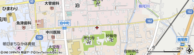 富山県下新川郡朝日町泊273周辺の地図