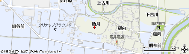 福島県いわき市四倉町下仁井田（胎月）周辺の地図