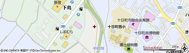 新潟県十日町市寅周辺の地図