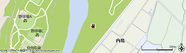 新潟県十日町市丑周辺の地図