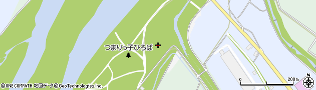 新潟県十日町市寅（甲）周辺の地図