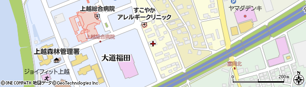新潟県上越市藤野新田1303周辺の地図