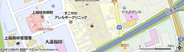 新潟県上越市藤野新田67周辺の地図