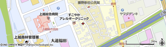新潟県上越市藤野新田1324周辺の地図