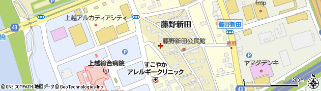 新潟県上越市藤野新田57周辺の地図