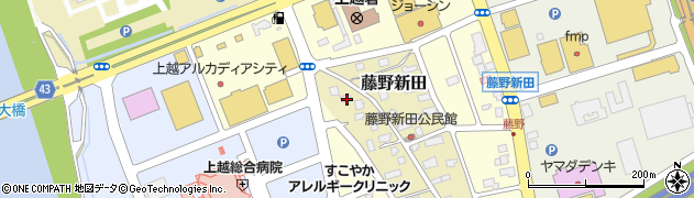 新潟県上越市藤野新田54周辺の地図