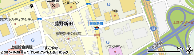 藤野新田周辺の地図