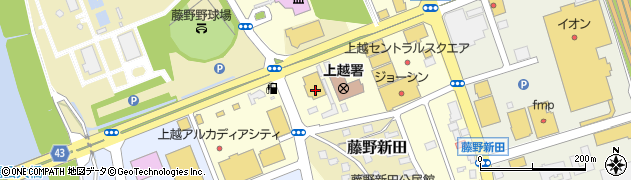 新潟県上越市藤野新田1168周辺の地図