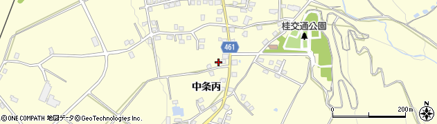 新潟県十日町市中条丙1202周辺の地図