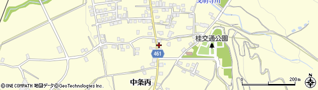 新潟県十日町市中条丙496周辺の地図