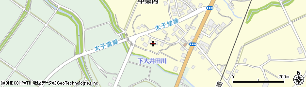 新潟県十日町市中条丙864周辺の地図