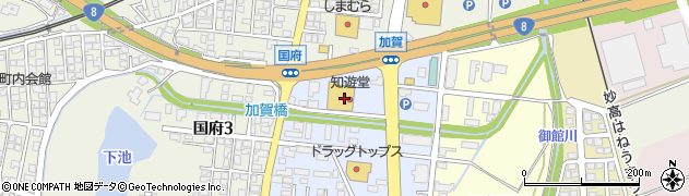 知遊堂上越国府店周辺の地図