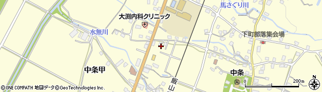 新潟県十日町市中条（甲）周辺の地図