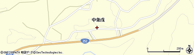 新潟県十日町市中条（戊）周辺の地図