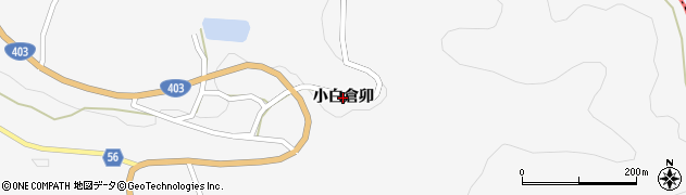 新潟県十日町市小白倉（卯）周辺の地図