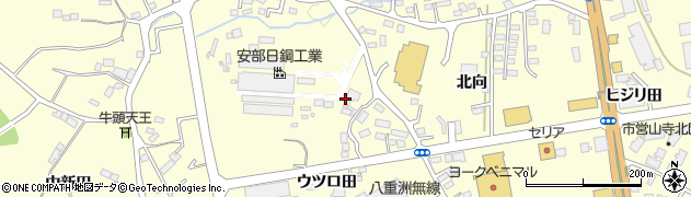 菅野食品周辺の地図