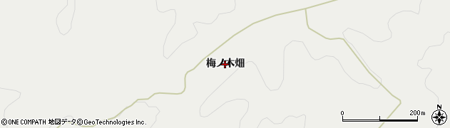 福島県小野町（田村郡）飯豊（梅ノ木畑）周辺の地図