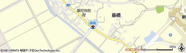 藤橋周辺の地図