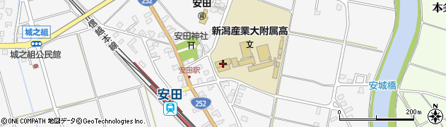 新潟産業大学附属高等学校　教務室周辺の地図