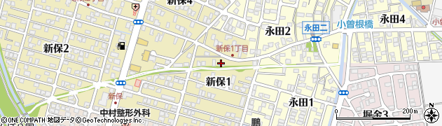 岡田ドライ周辺の地図