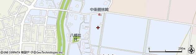 中条公園周辺の地図