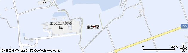 福島県浪江町（双葉郡）棚塩（金ケ森）周辺の地図
