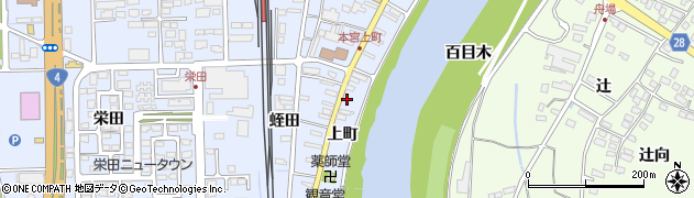 イトー薬舗周辺の地図
