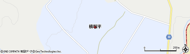 福島県大玉村（安達郡）玉井（横堀平）周辺の地図