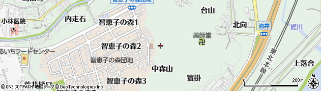 福島県二本松市油井（中森山）周辺の地図