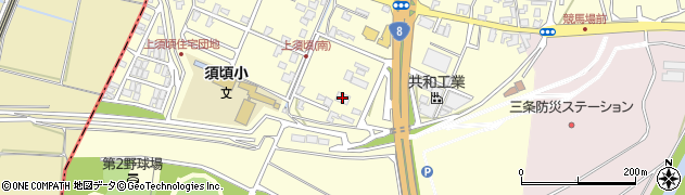 新潟新興交通周辺の地図