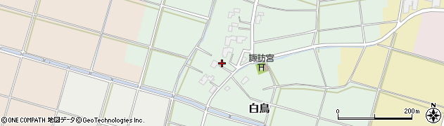 新潟県新潟市西蒲区白鳥531周辺の地図