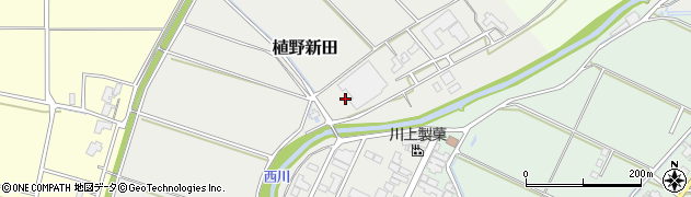 新潟県新潟市西蒲区植野新田周辺の地図