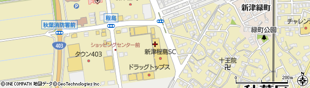 コング新津店周辺の地図