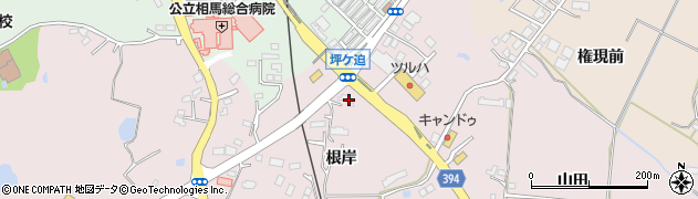 福島県相馬市小泉根岸110周辺の地図