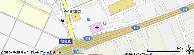 知遊堂亀貝店周辺の地図