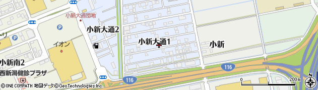 新潟県新潟市西区小新大通1丁目周辺の地図