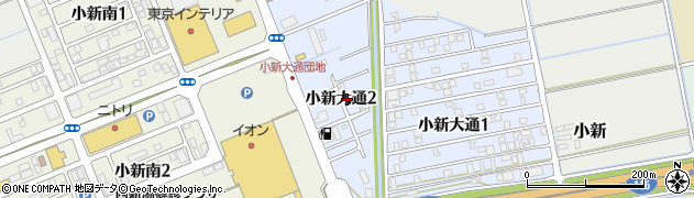 新潟県新潟市西区小新大通2丁目周辺の地図