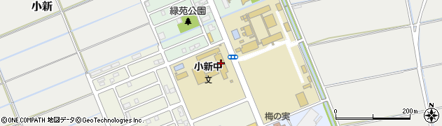 新潟市立小新中学校周辺の地図