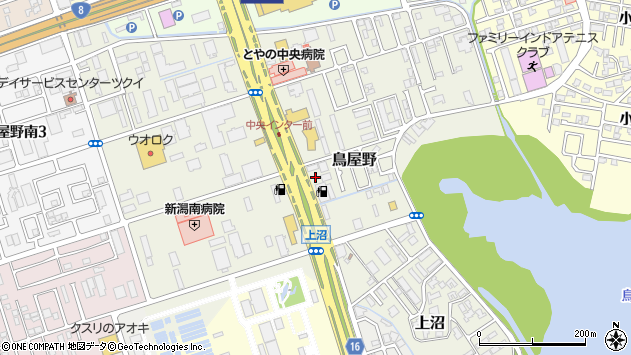 〒950-0951 新潟県新潟市中央区鳥屋野の地図