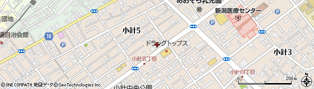 丼丸ＦＵＪＩ　小針店周辺の地図